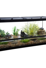 Tetra TETRAFAUNA Deluxe Repto Habitat