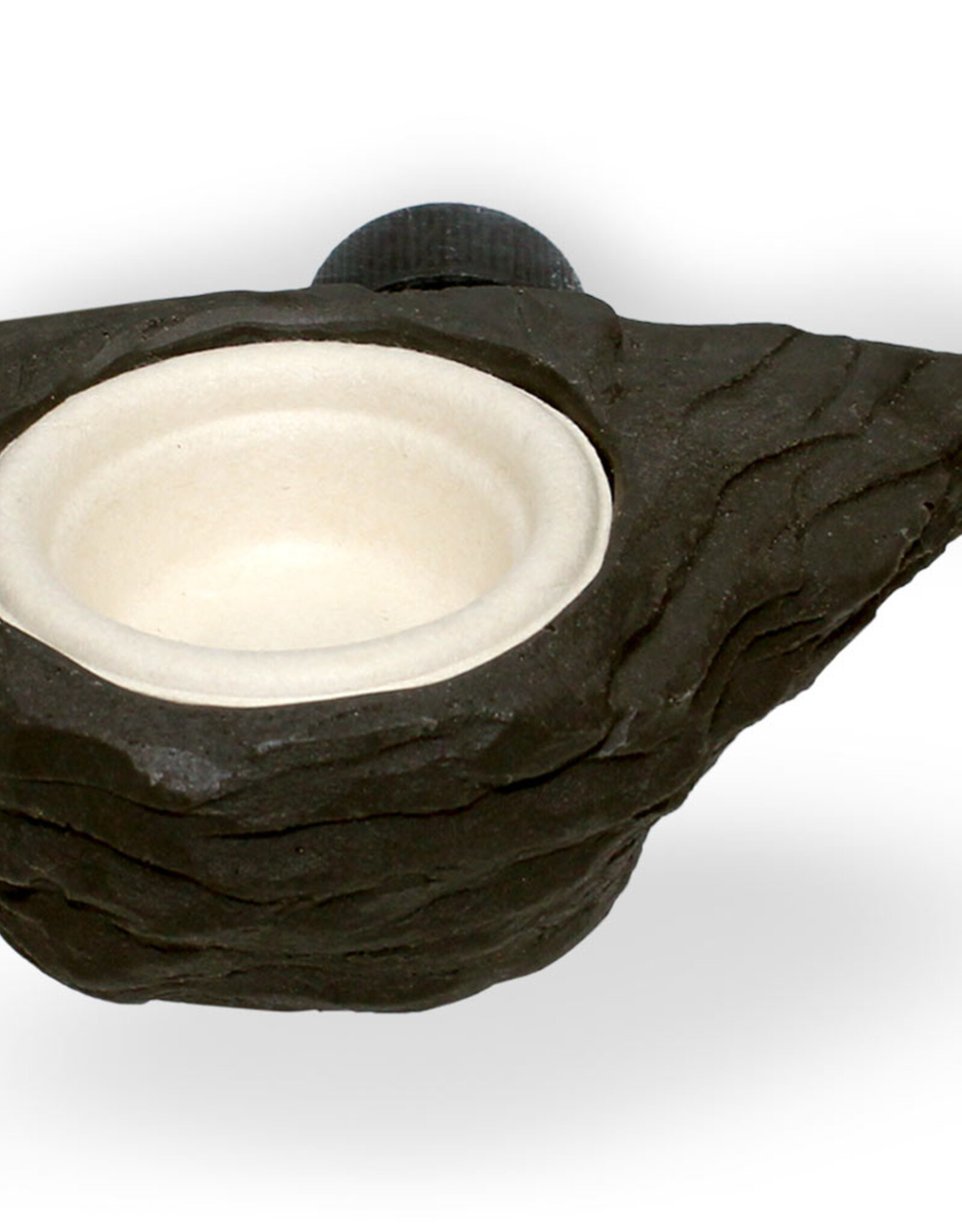 Pangea PANGEA Gecko Mini Magnetic Feeding Ledge