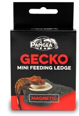 Pangea PANGEA Gecko Mini Magnetic Feeding Ledge