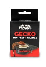 Pangea PANGEA Gecko Mini Magnetic Feeding Ledge