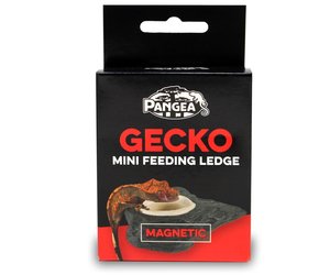 Gecko ledge feeder sales
