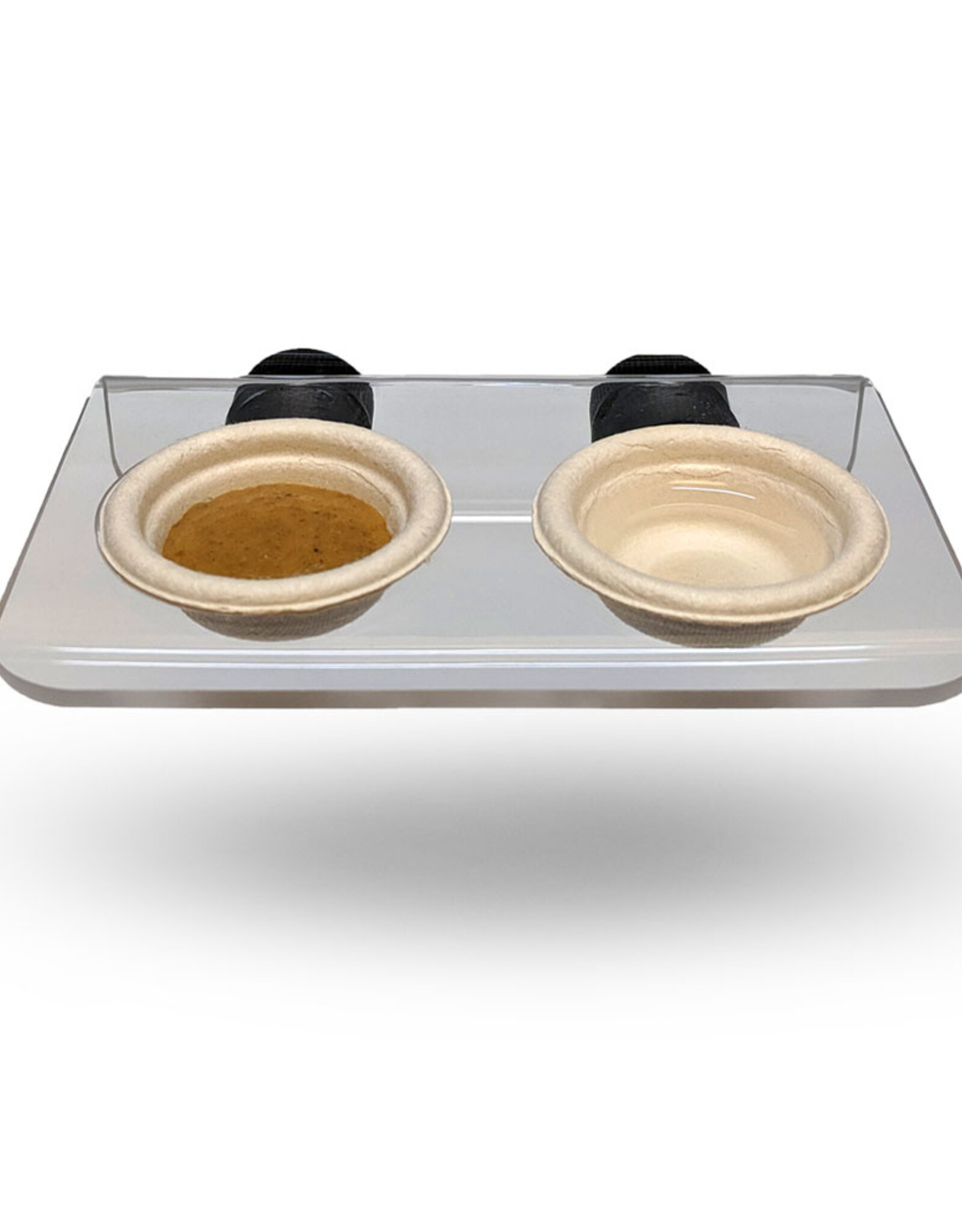 Pangea PANGEA Magnetic Gecko Ledge - Acrylic