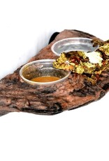 Magnaturals MAGNATURALS Gecko Ledge - Earth