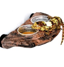 Magnaturals MAGNATURALS Gecko Ledge