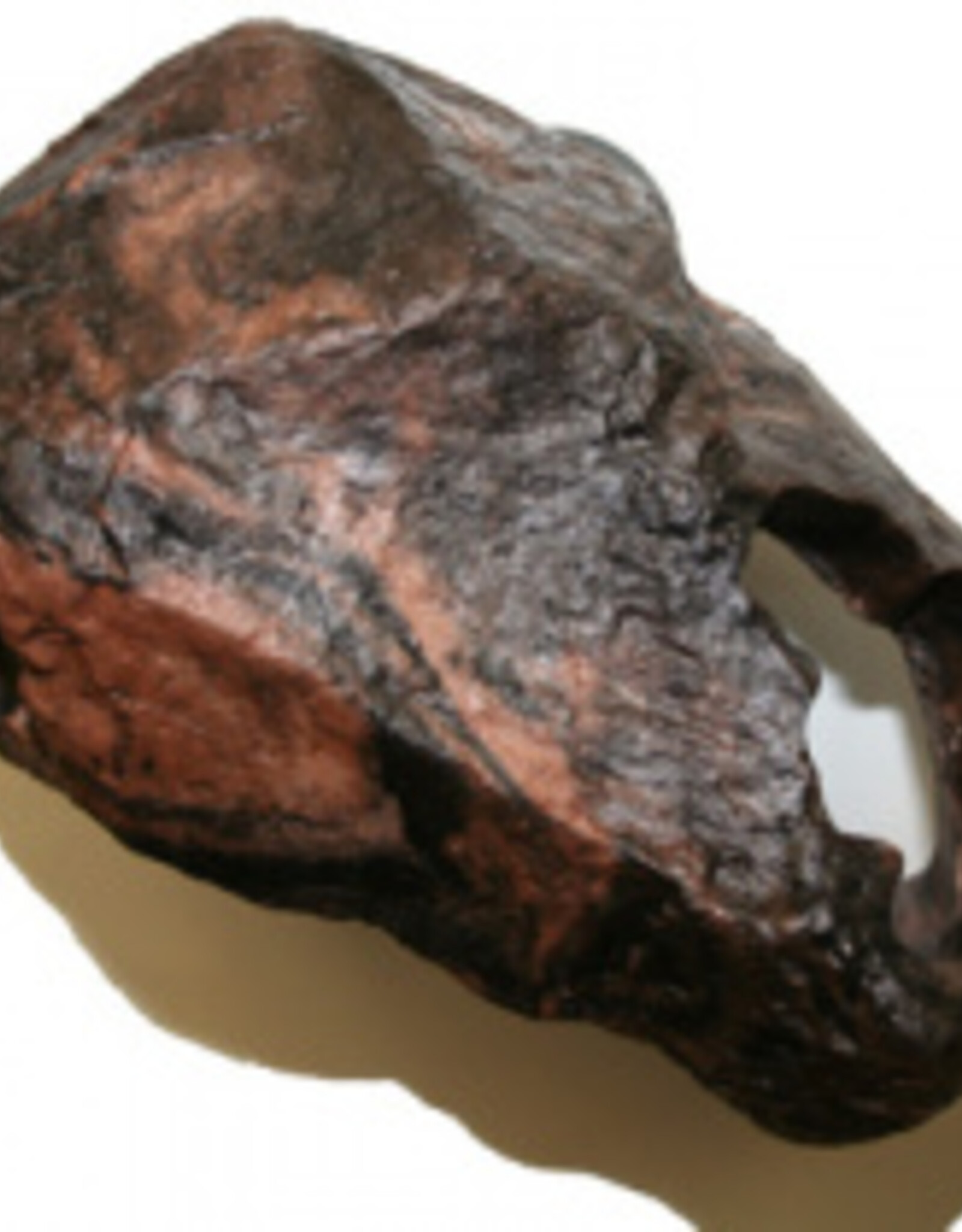 Magnaturals MAGNATURALS Hideaway