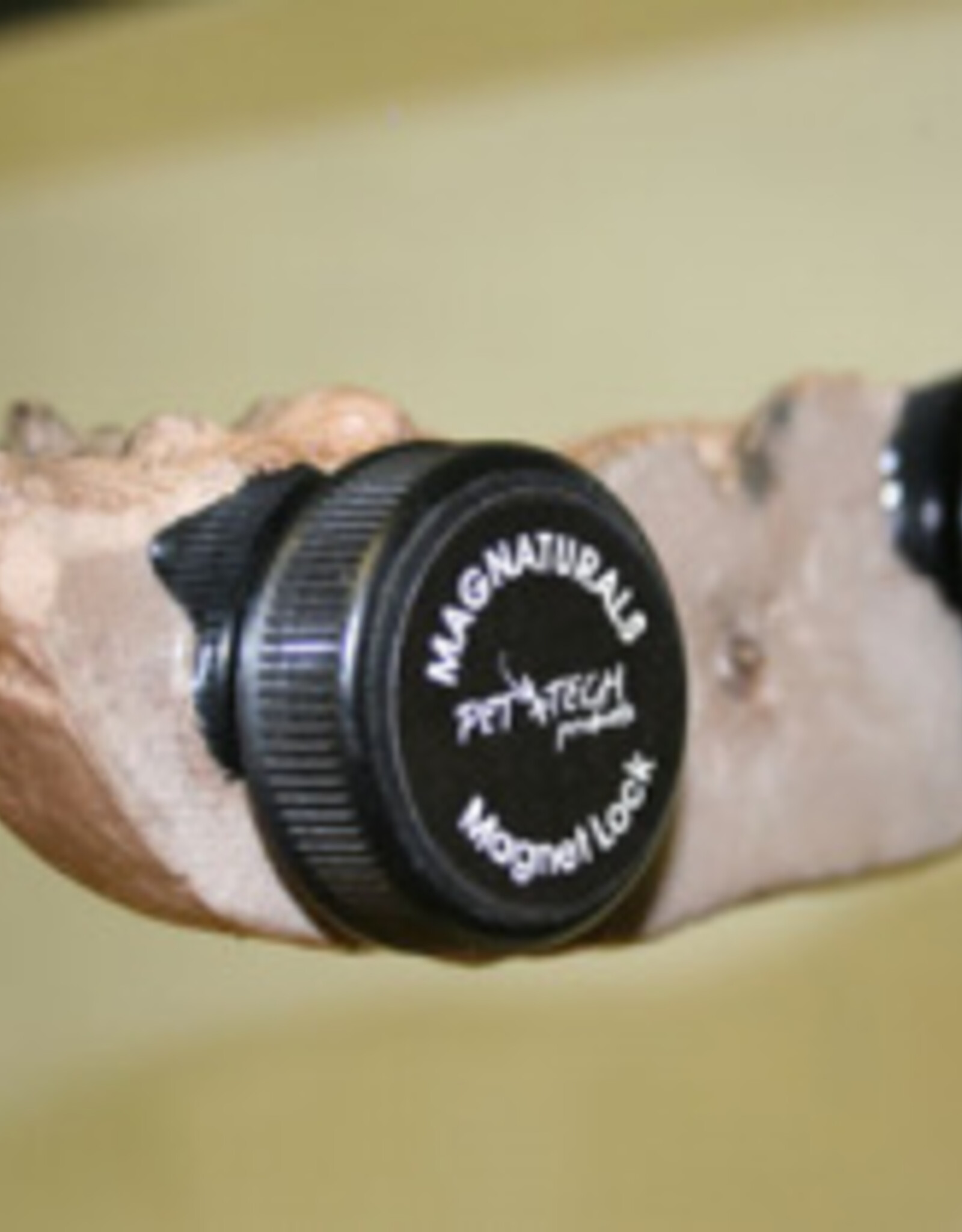 Magnaturals MAGNATURALS Mushroom Ledge