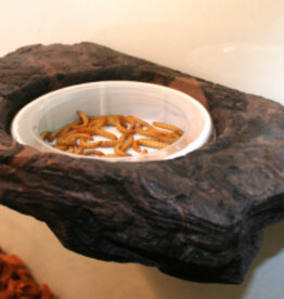 Magnaturals MAGNATURALS Worm Ledge