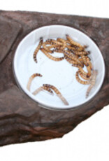 Magnaturals MAGNATURALS Worm Ledge