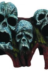 Burgham Aqua-Fit AQUA-FIT Tree Root Skulls 7x4x6"