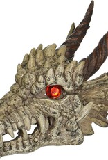 Penn Plax PENN PLAX Gazer Dragon Skull 5.5"