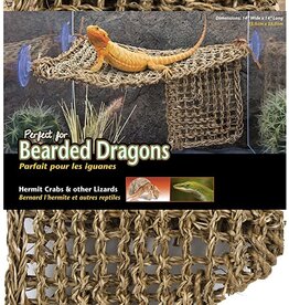Penn Plax PENN PLAX Natural Lizard Lounger Hammock Corner
