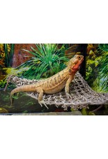 Penn Plax PENN PLAX Natural Lizard Lounger Hammock Corner