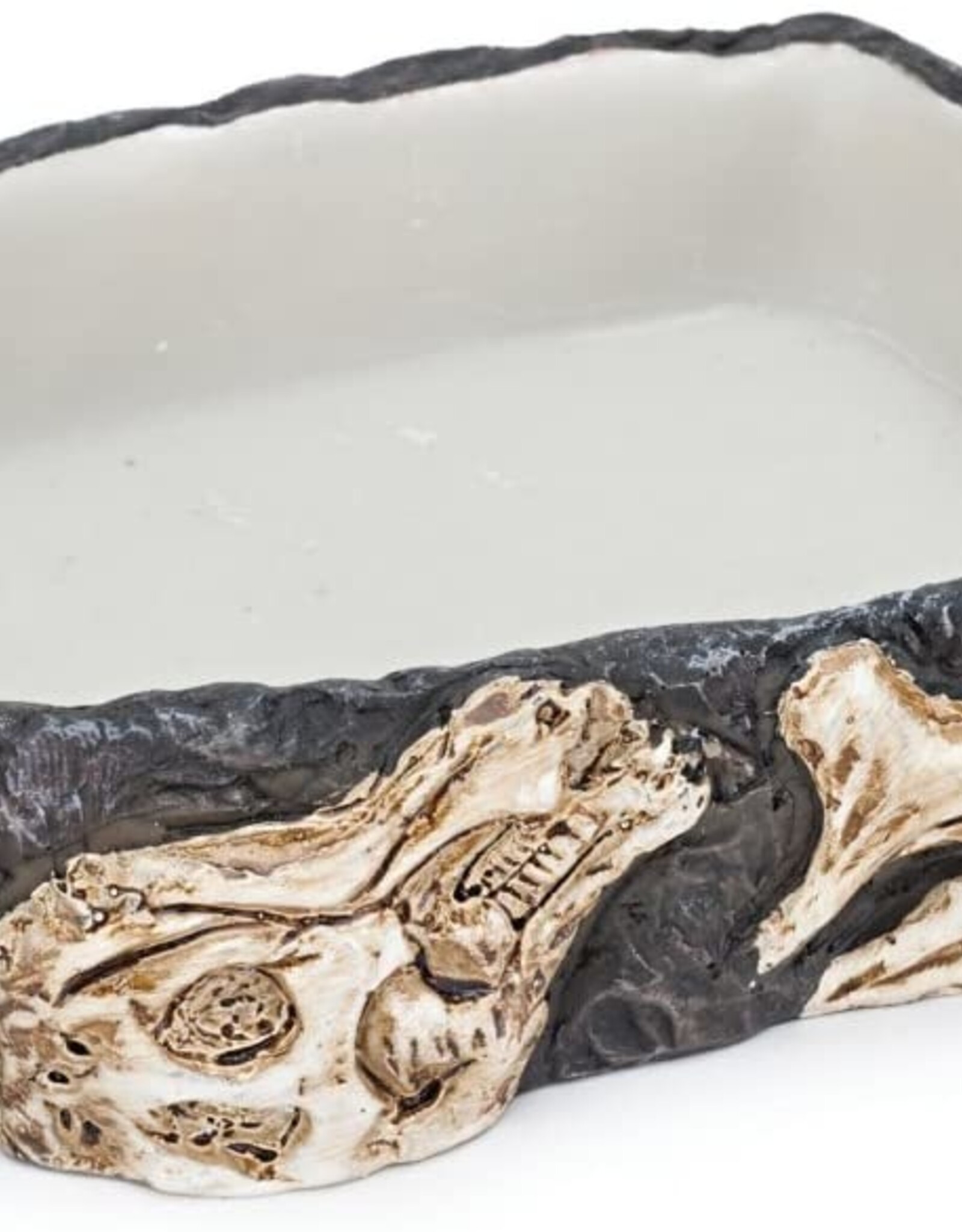 Penn Plax PENN PLAX Reptology Fossil-Rock Dish