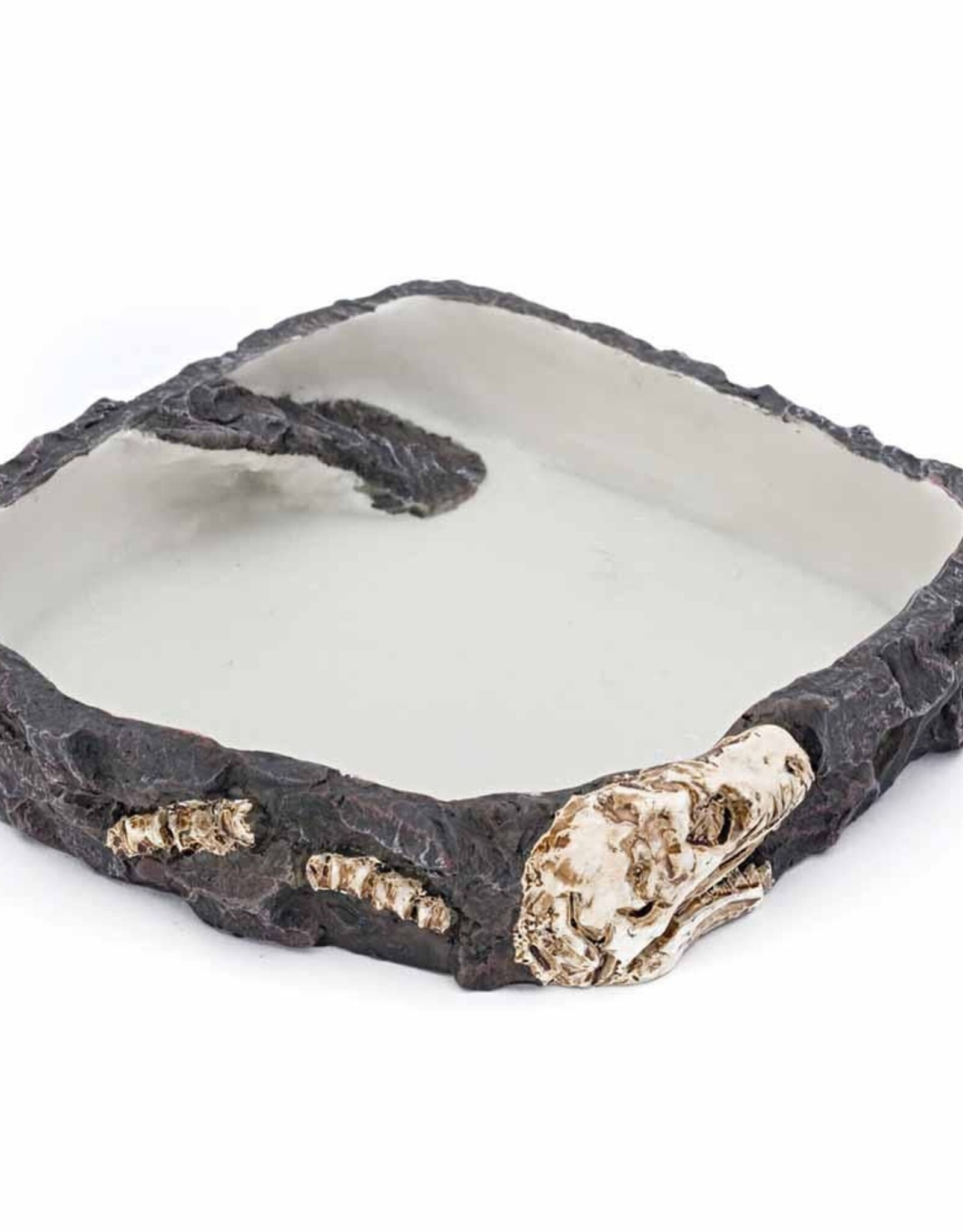Penn Plax PENN PLAX Reptology Fossil-Rock Dish
