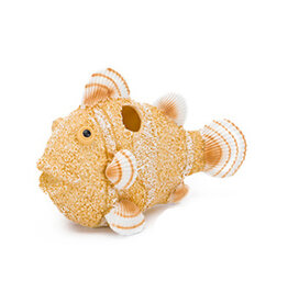 Penn Plax PENN PLAX Sand & Shell Fish #2 Ornament