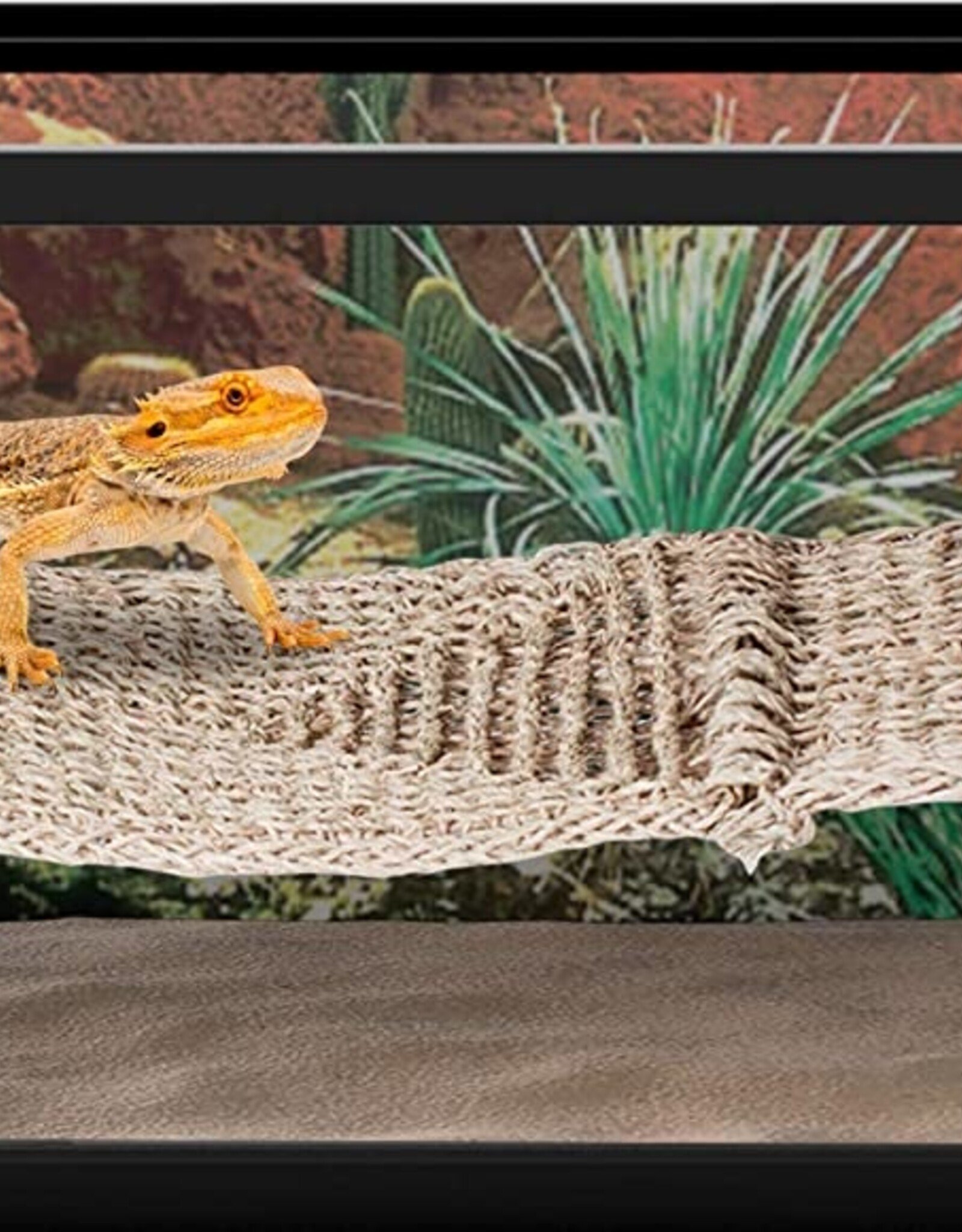 Penn Plax PENN PLAX Natural Lizard Lounger Bridge