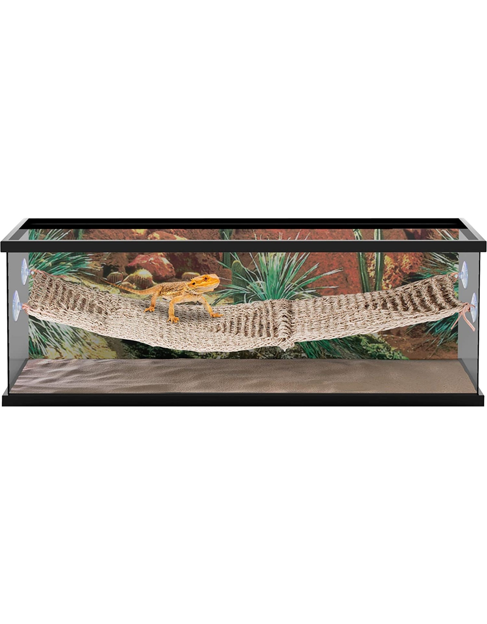 Penn Plax PENN PLAX Natural Lizard Lounger Bridge