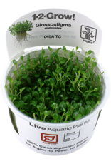 Tropica 1-2-GROW! Glossostigma elatinoides