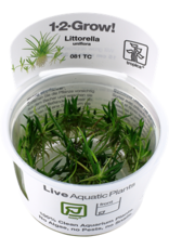 Tropica 1-2-GROW! Littorella uniflora