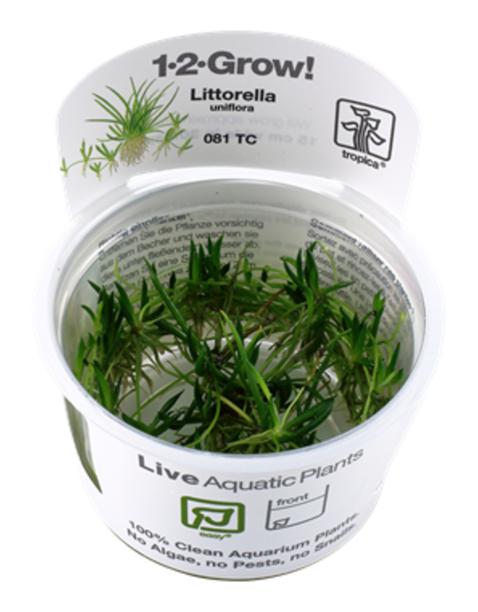 Tropica 1-2-GROW! Littorella uniflora