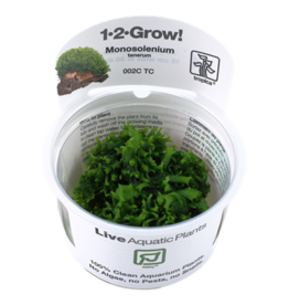Tropica 1-2-GROW! Monosolenium tenerum
