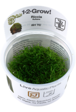 Tropica 1-2-GROW! Riccia fluitans