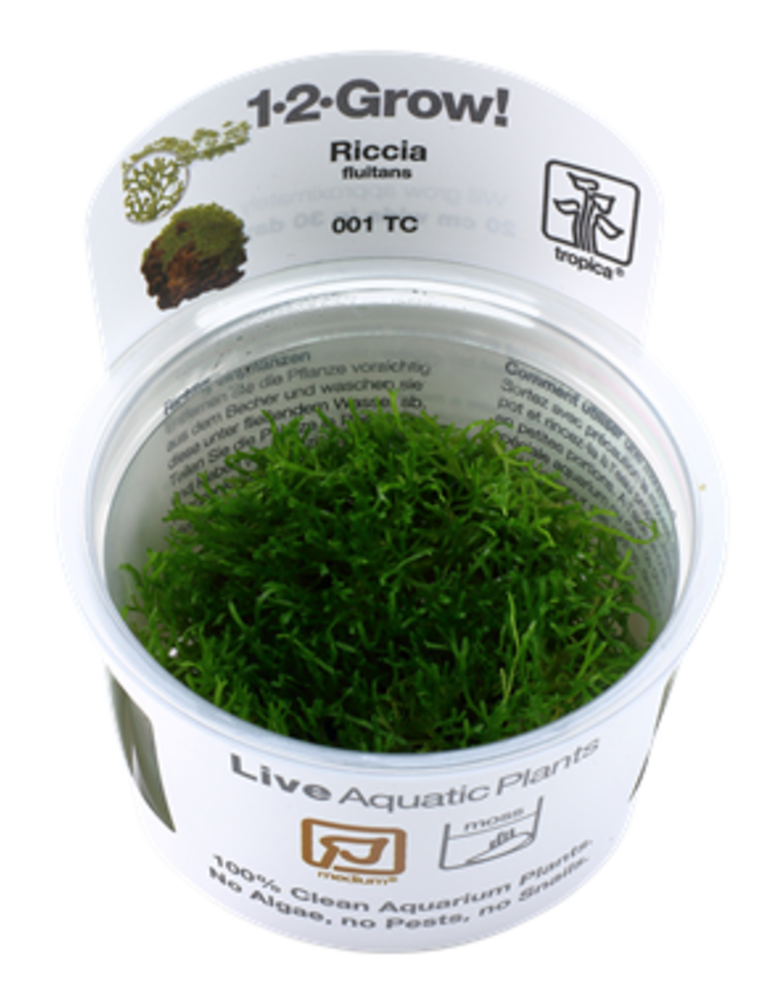 Tropica 1-2-GROW! Riccia fluitans
