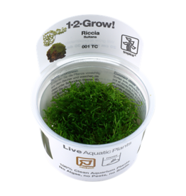 Tropica 1-2-GROW! Riccia fluitans