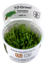 Tropica 1-2-GROW! Vesicularia ferriei 'Weeping'
