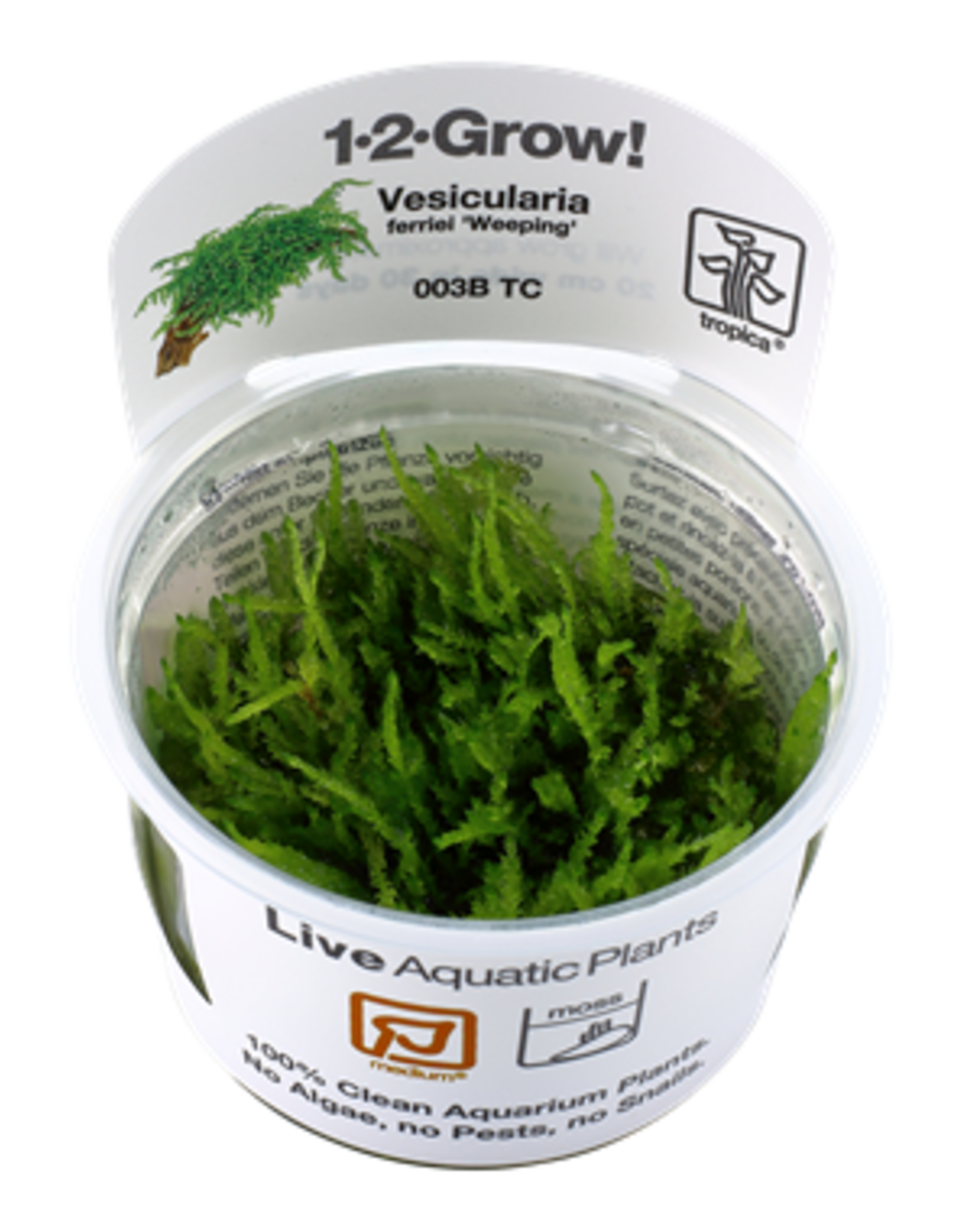 Tropica 1-2-GROW! Vesicularia ferriei 'Weeping'