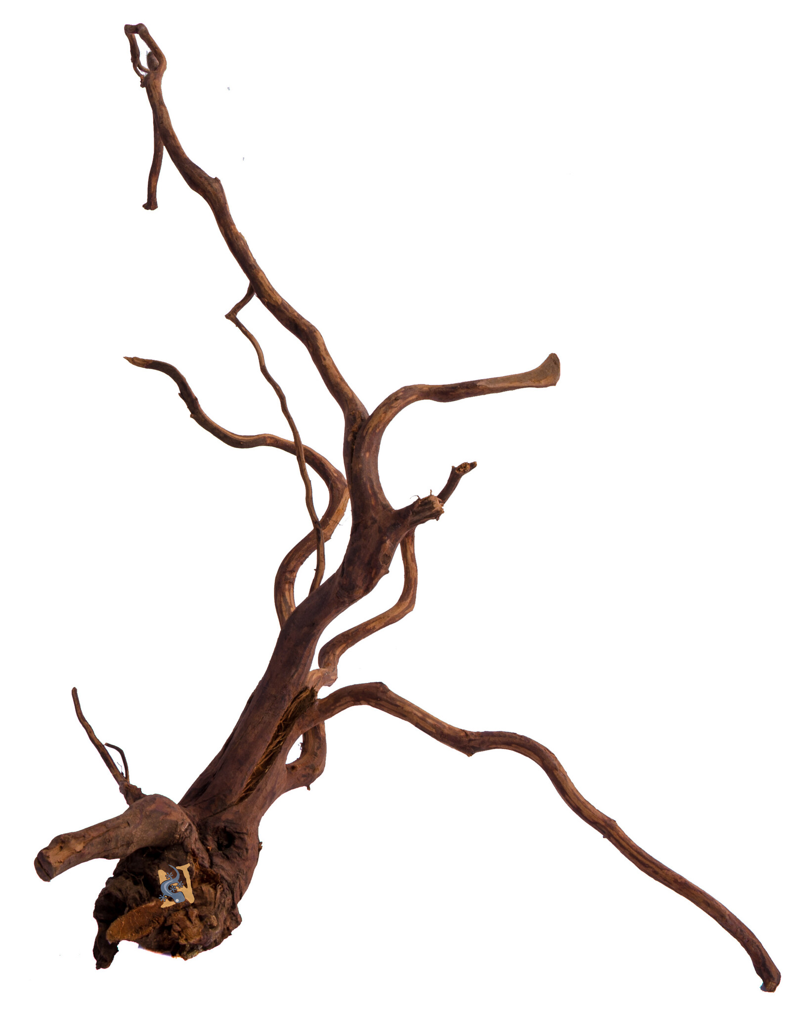 Aquaglobe Products AQUAGLOBE Amazon Wood