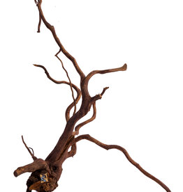 Aquaglobe Products AQUAGLOBE Amazon Wood