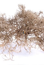 Aquaglobe Products AQUAGLOBE Caspian Wood