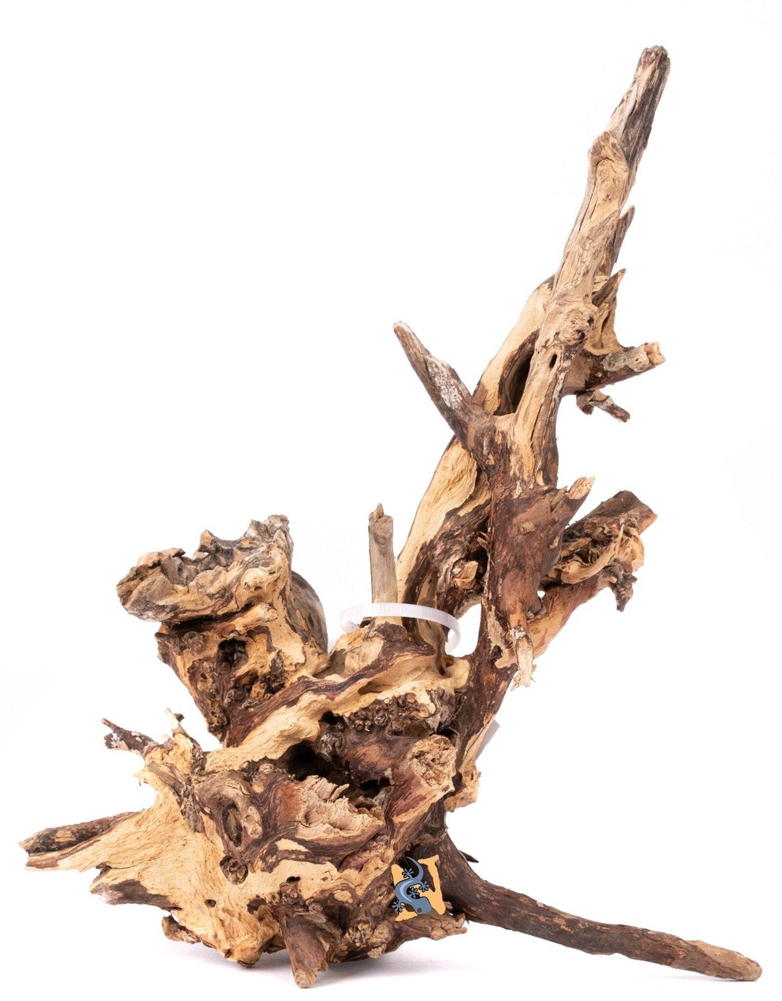 Aquaglobe Products AQUAGLOBE Cyrus Wood