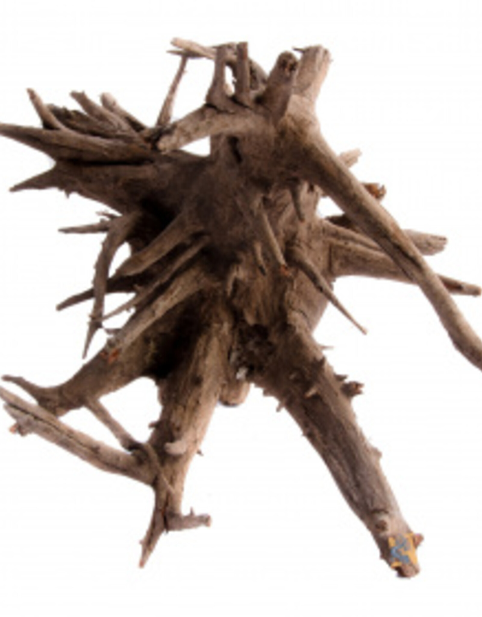 Aquaglobe Products AQUAGLOBE Jangle Wood Large 12"-14"