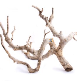 Aquaglobe Products AQUAGLOBE Nainital Wood