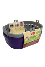 Living World LIVING WORLD Carrier, Small, Purple/Grey