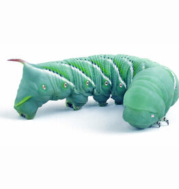 Cherry Creek Hornworms each