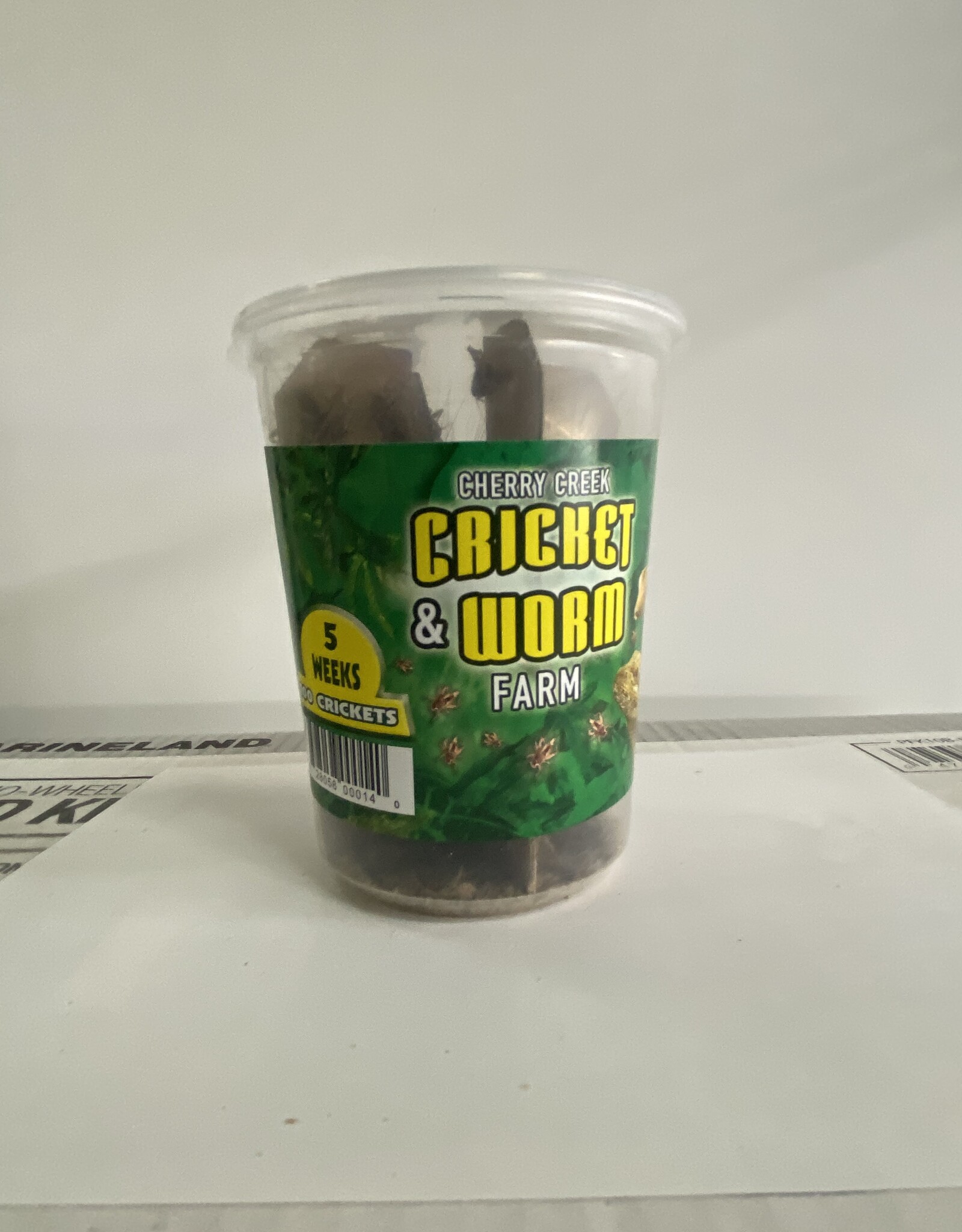 Cherry Creek Crickets - 5 Week (3/4)