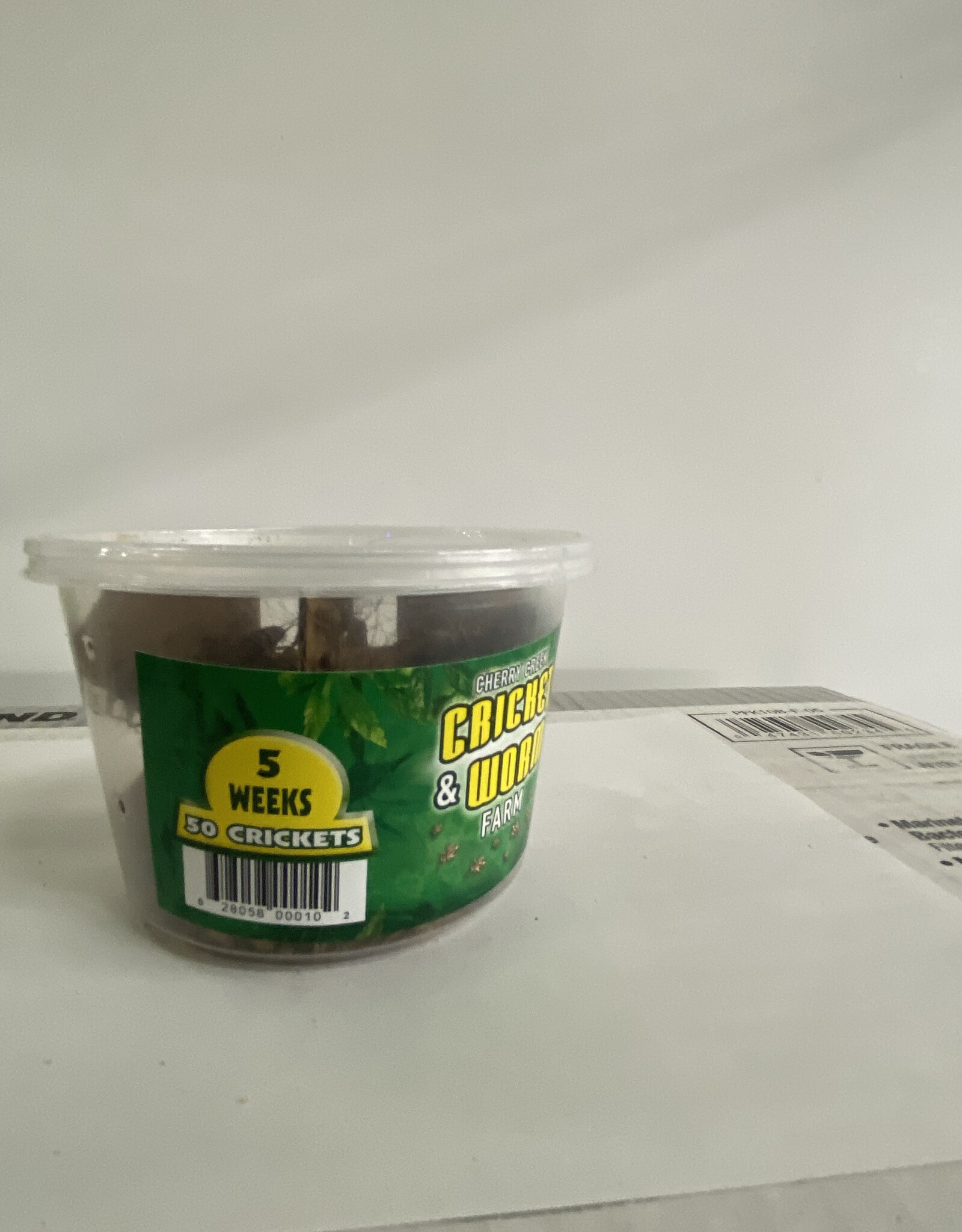 Cherry Creek Crickets - 5 Week