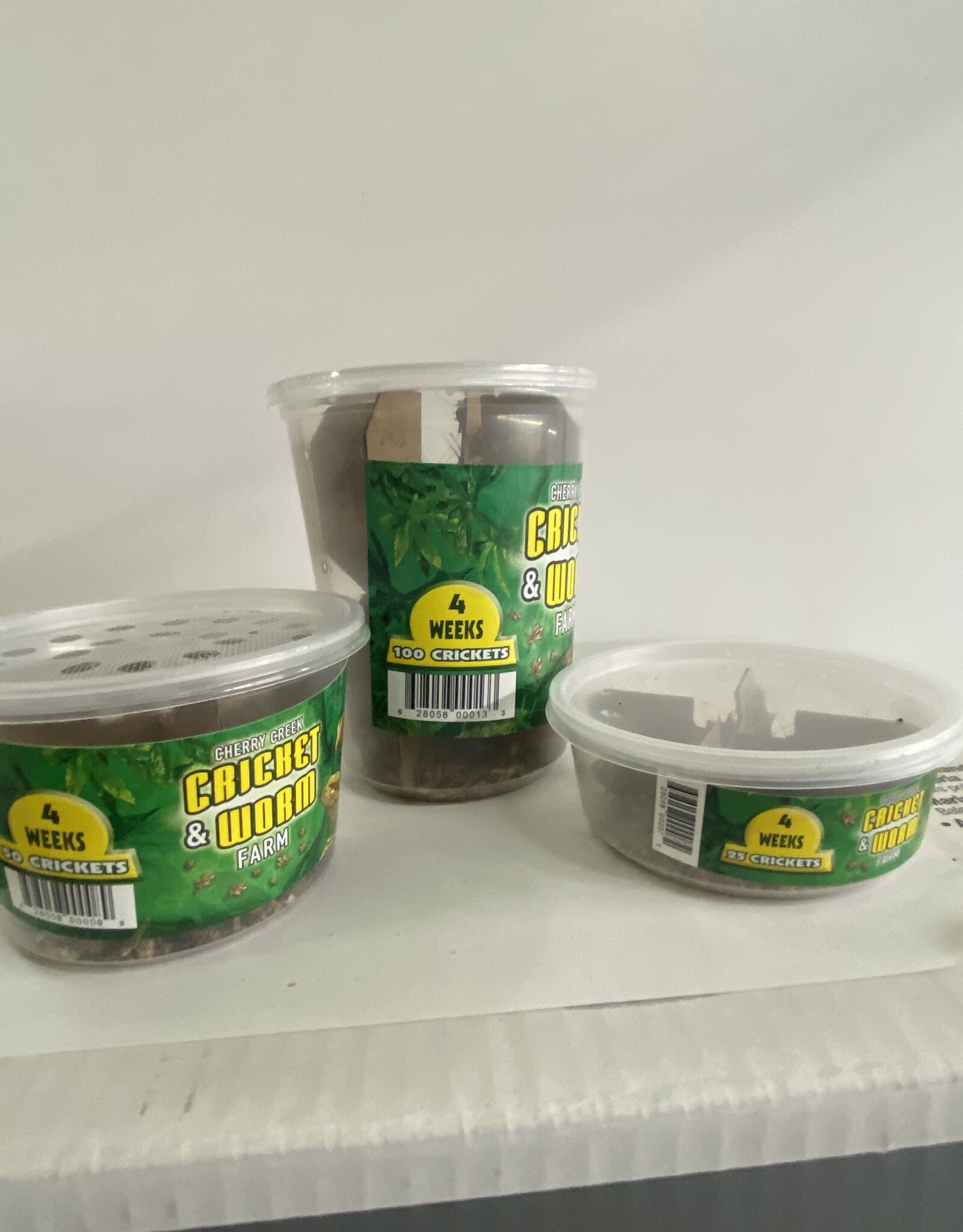 Cherry Creek Crickets - 4 Week (5/8)