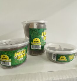 Cherry Creek Crickets - 4 Week