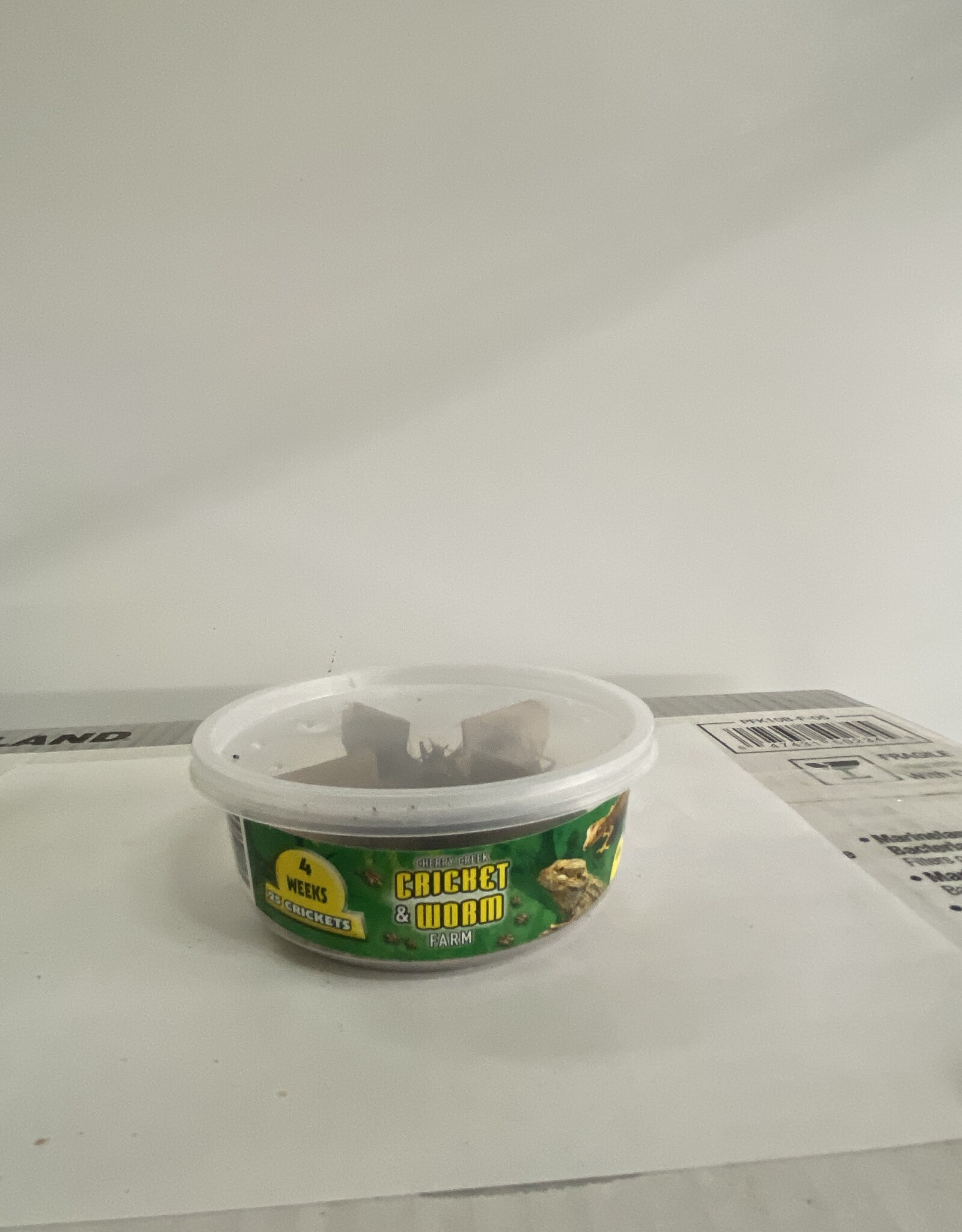 Cherry Creek Crickets - 4 Week (5/8)