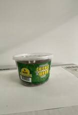 Cherry Creek Crickets - 4 Week