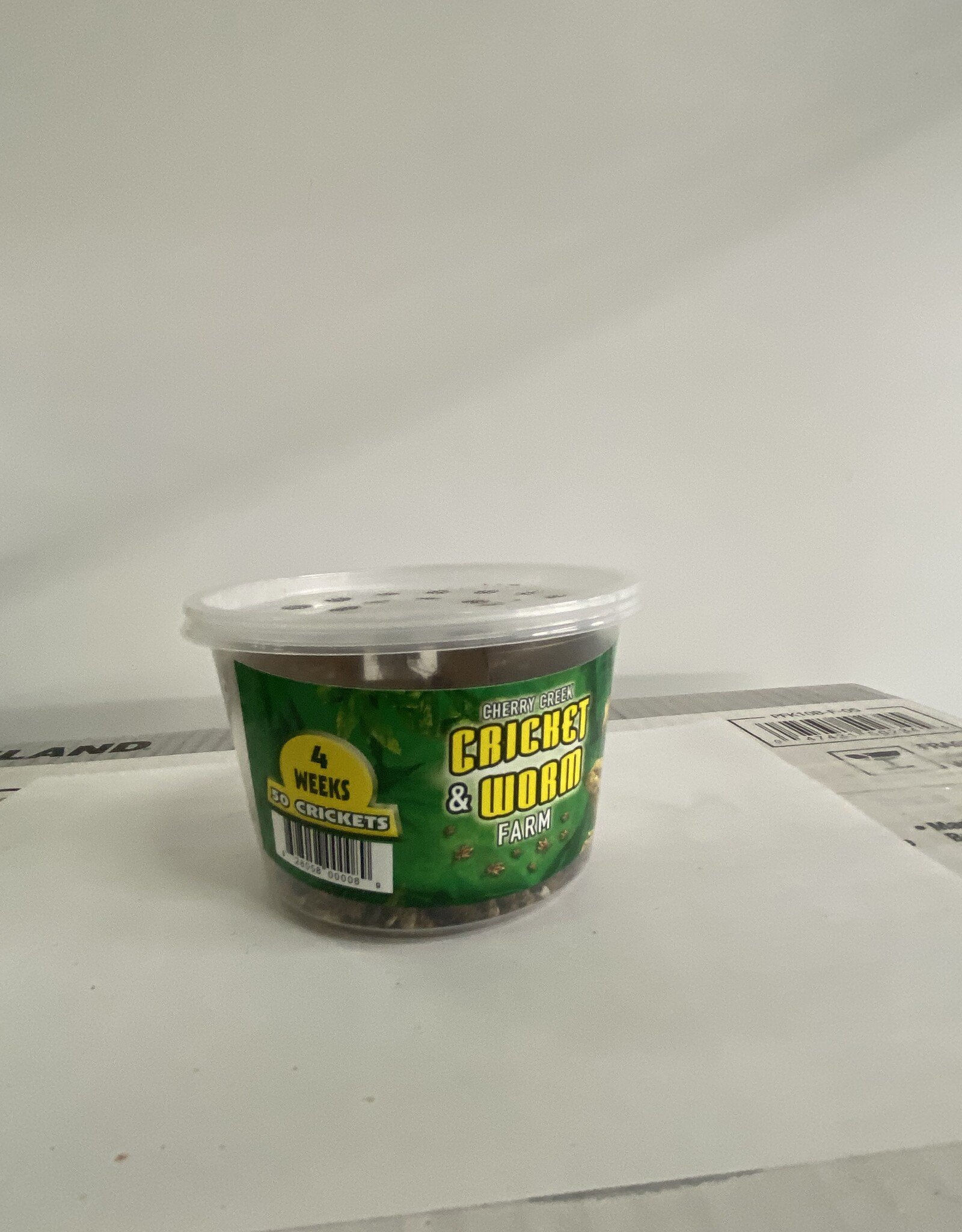 Cherry Creek Crickets - 4 Week