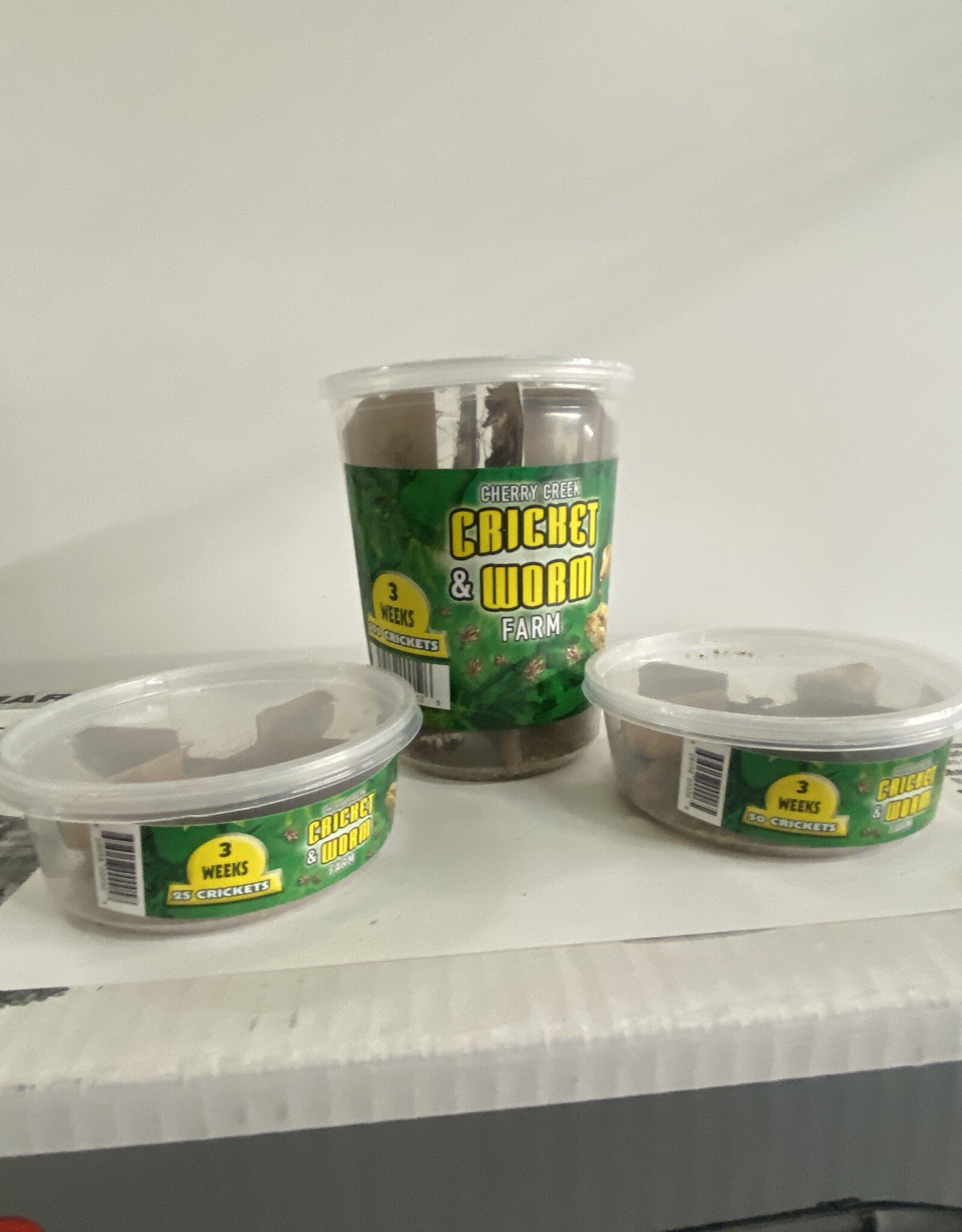 Cherry Creek Crickets - 3 Week (1/2)