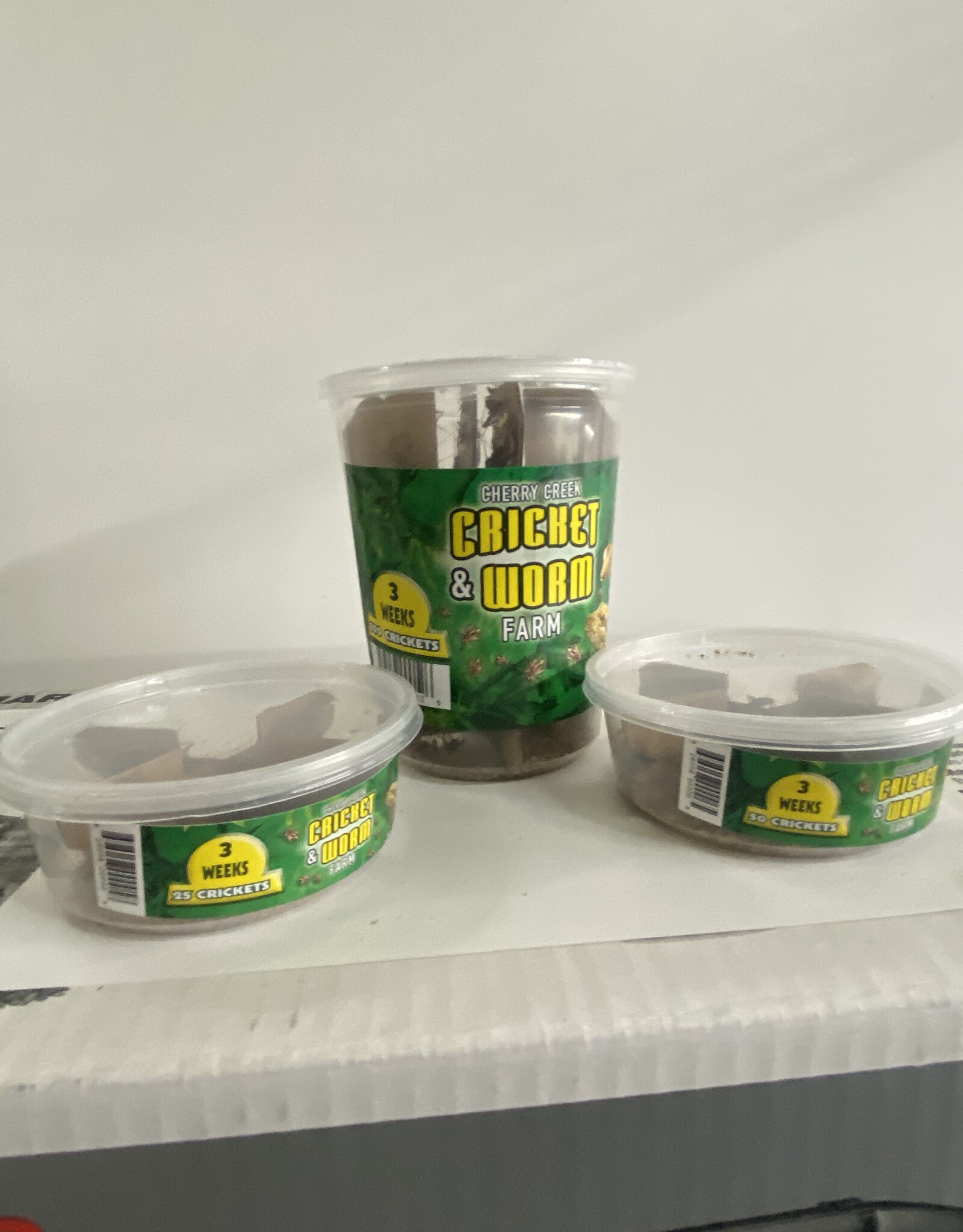 Cherry Creek Crickets - 3 Week