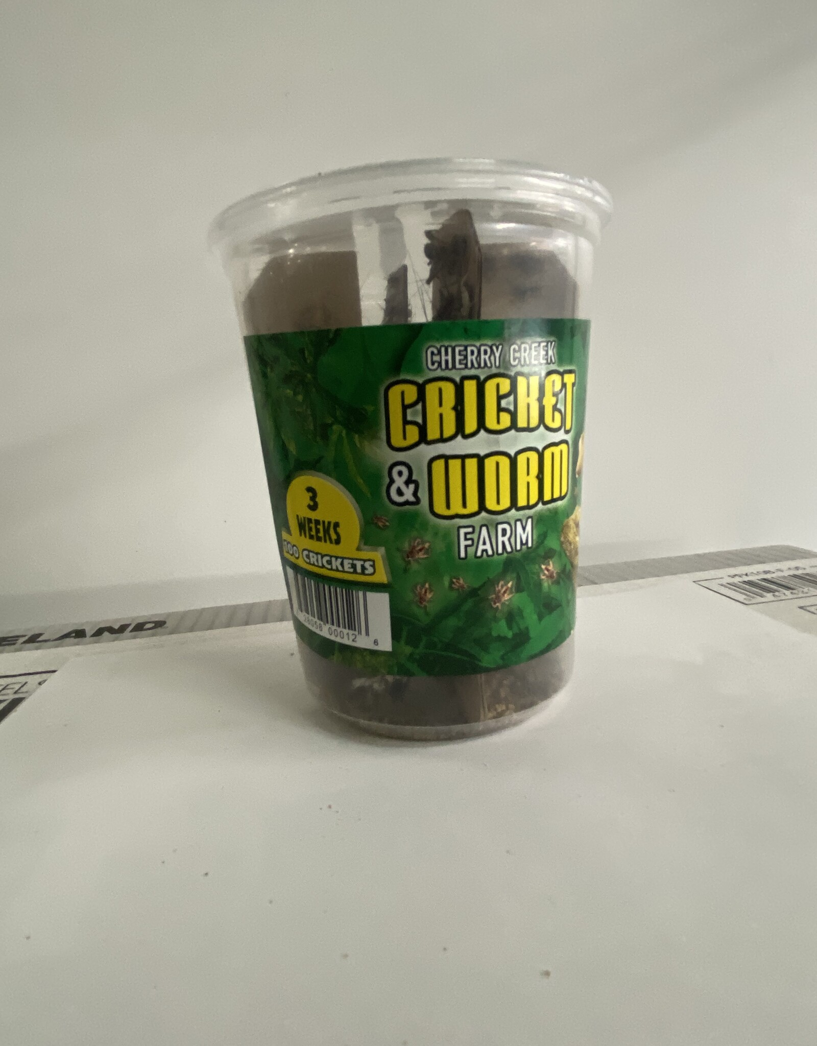 Cherry Creek Crickets - 3 Week (1/2)