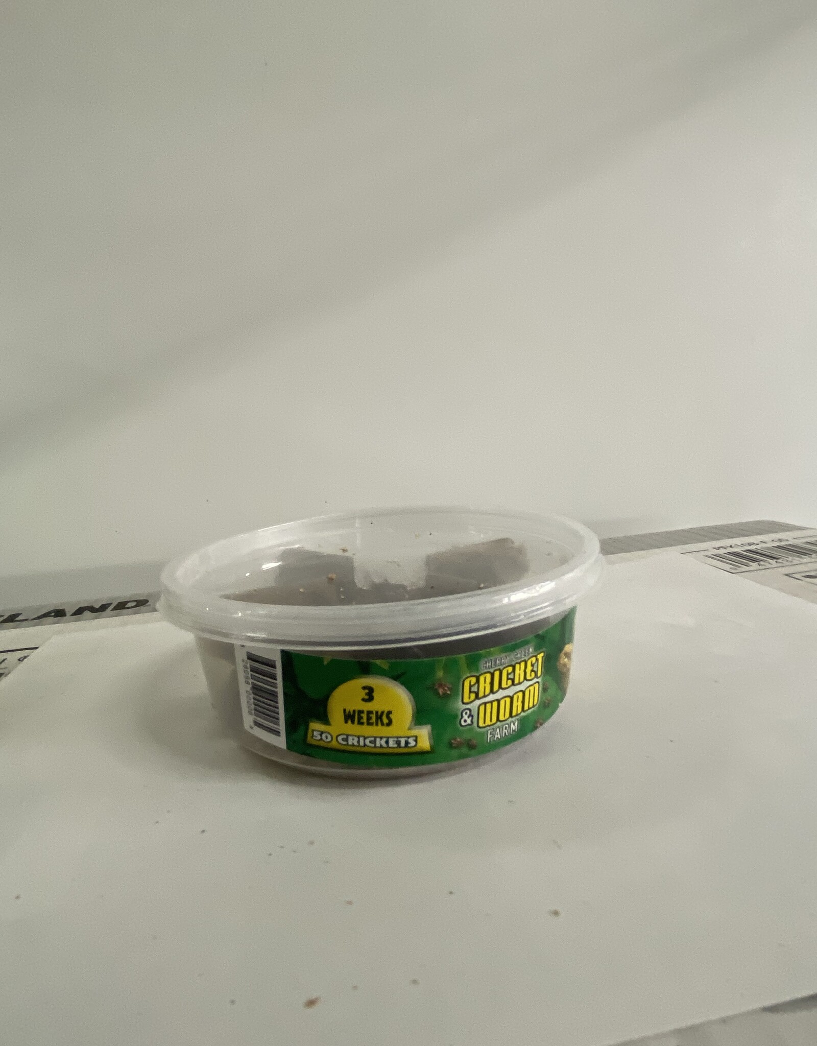 Cherry Creek Crickets - 3 Week (1/2)