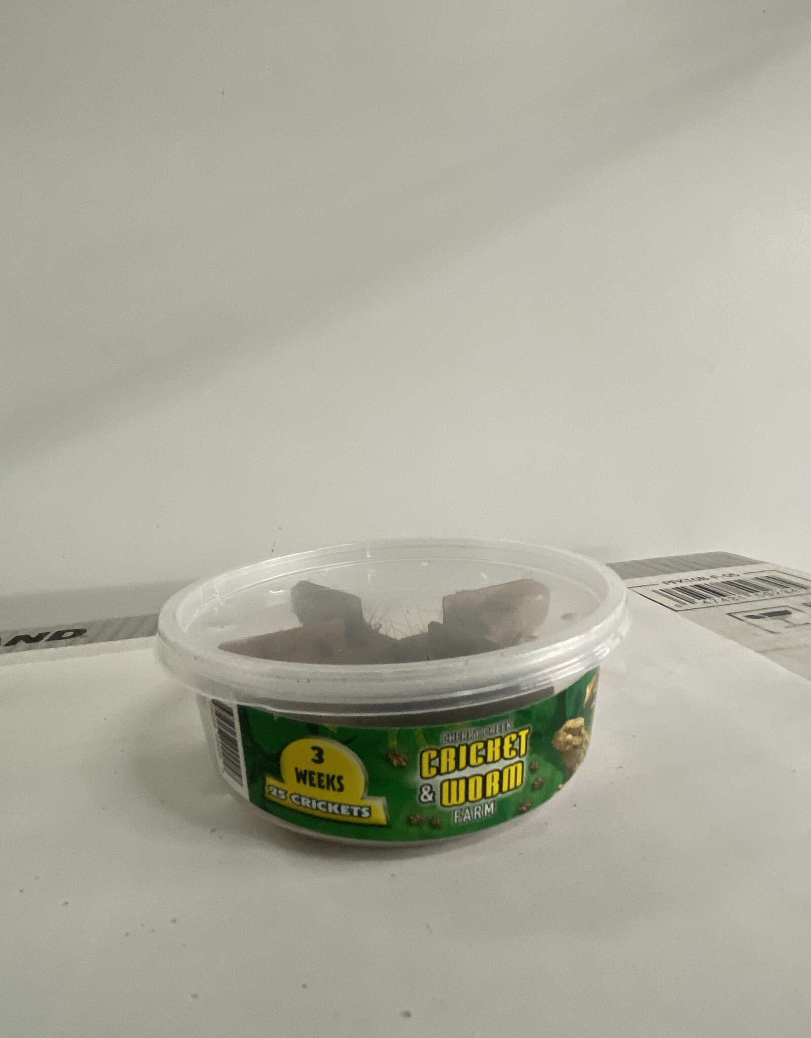 Cherry Creek Crickets - 3 Week (1/2)